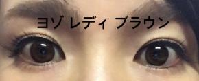 お気に入り